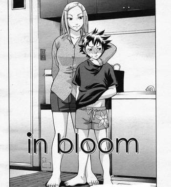 in bloom cover
