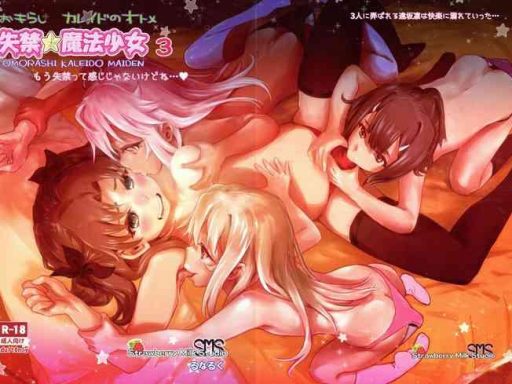 shikkin mahou shoujo 3 cover