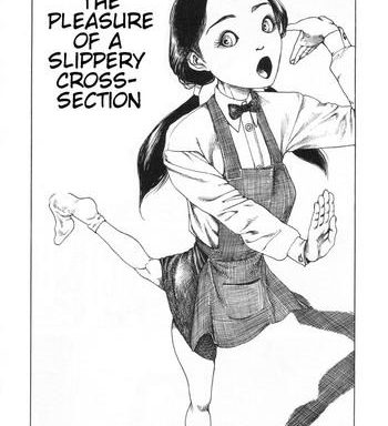 shintaro kago the pleasure of a slippery cross section cover