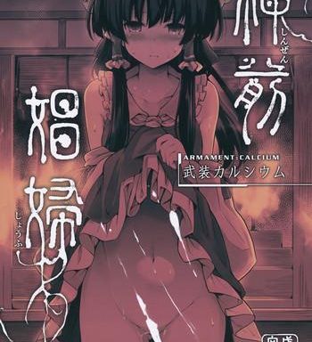 shinzen shoufu cover