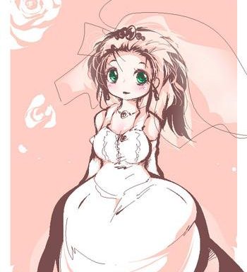 the bride transforms cover
