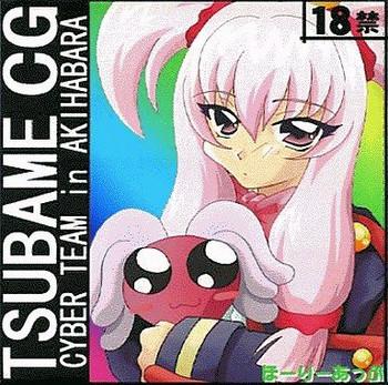 tsubame cg cyber team in akihabara cover