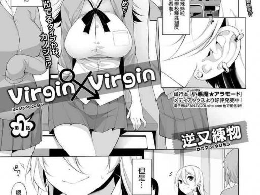 virgin x virgin ch 1 2 cover