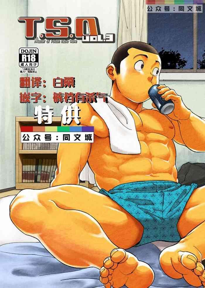 t s d vol 3 cover