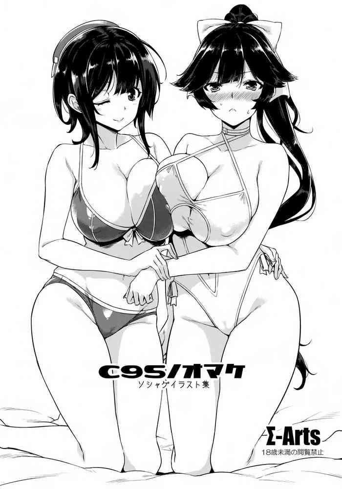 c95 cover