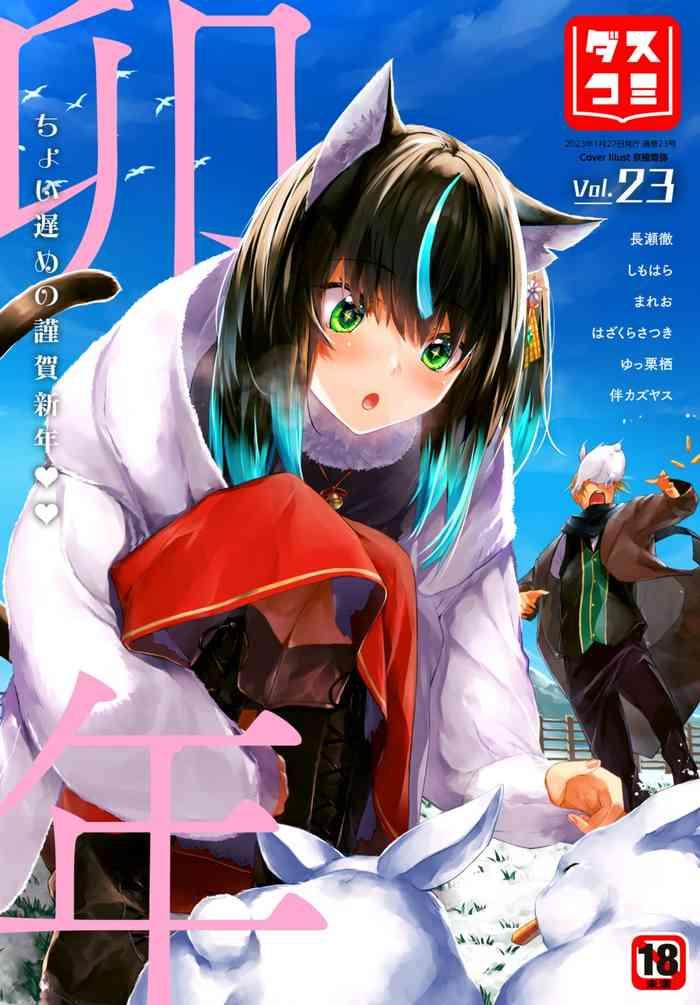 dascomi vol 23 cover