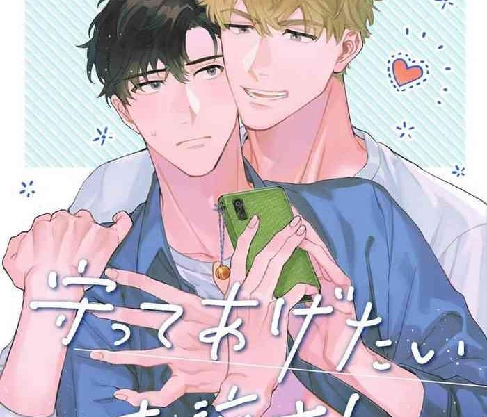 mamotte agetai sawatari san 4 cover