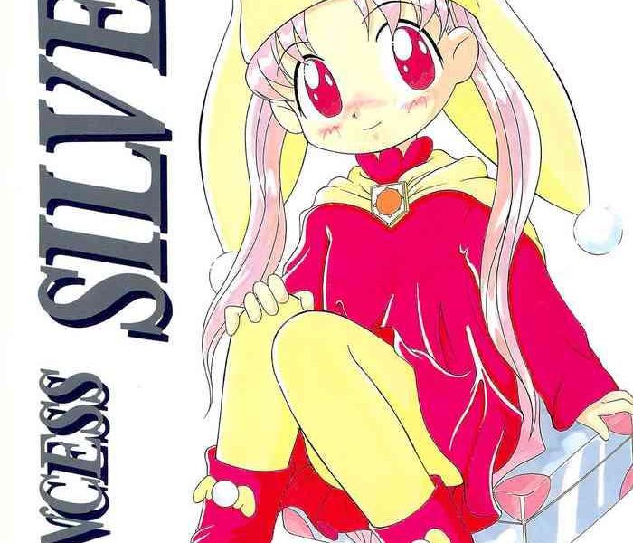 princess silver cover