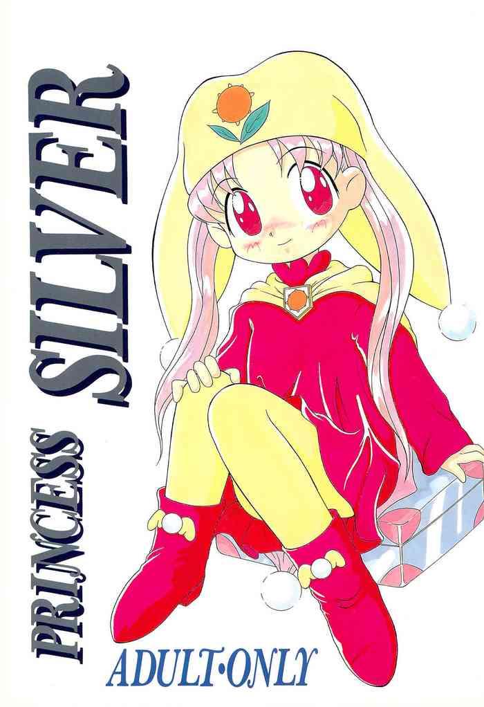 princess silver cover